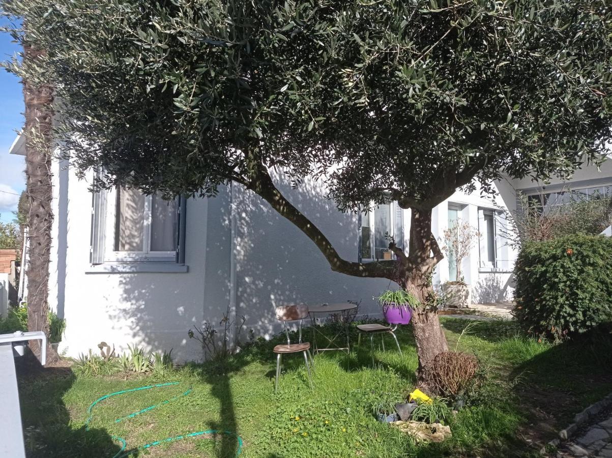 Chambre Meublee Independante, Avec Piscine Et Jardin, 1 Lit Pour 2 Personnes Direct Gare Aeroport Toulouse Dış mekan fotoğraf